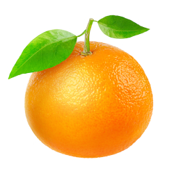 TangerineSDR